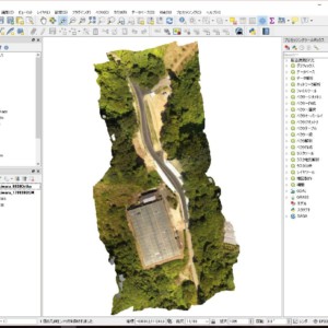 オルソ画像サンプル